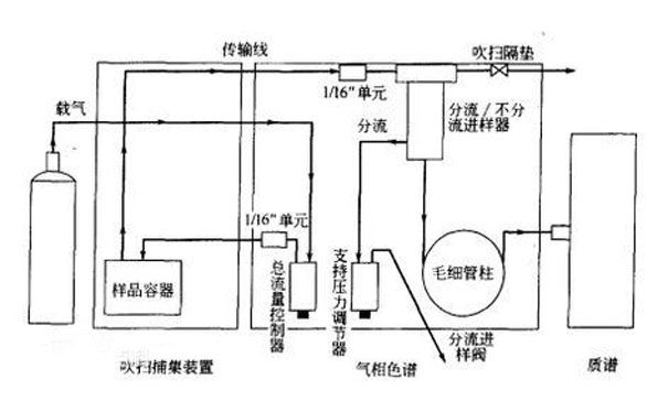 吹掃捕集自動進樣器和進樣口可調(diào)壓的氣相色譜基本結(jié)構(gòu)